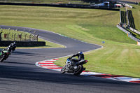 Evening Low_Mid Group Multicolour Bikes